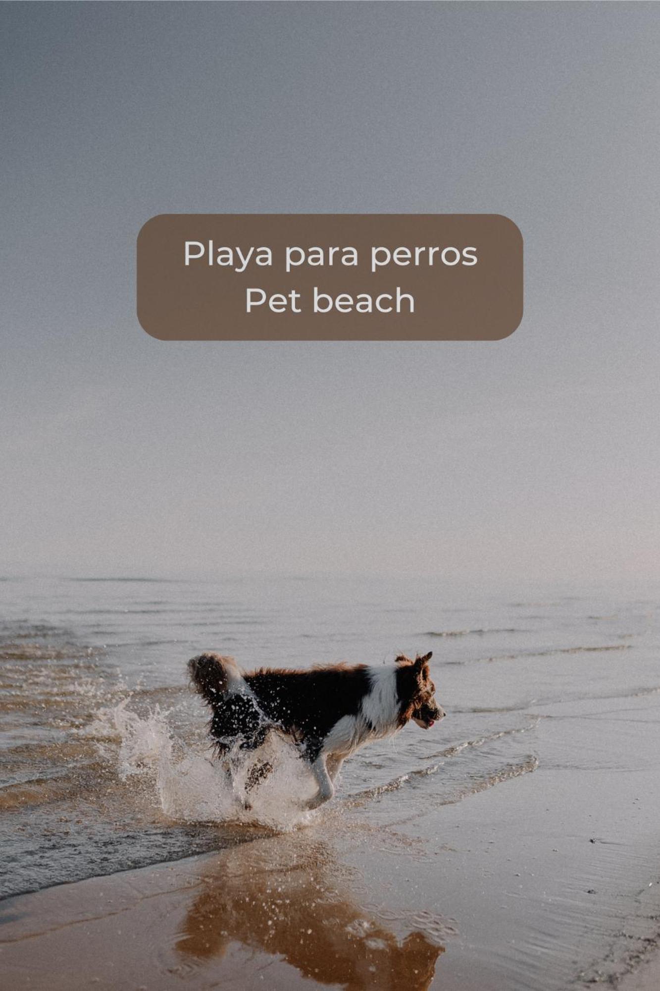 Canelita Con Piscina, Soleada Terraza Amplia Wifi Y Parking Corralejo Exterior photo